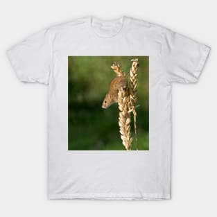 Harvest mouse on an ear of wheat T-Shirt